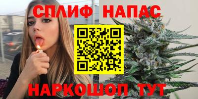 МДПВ Обнинск