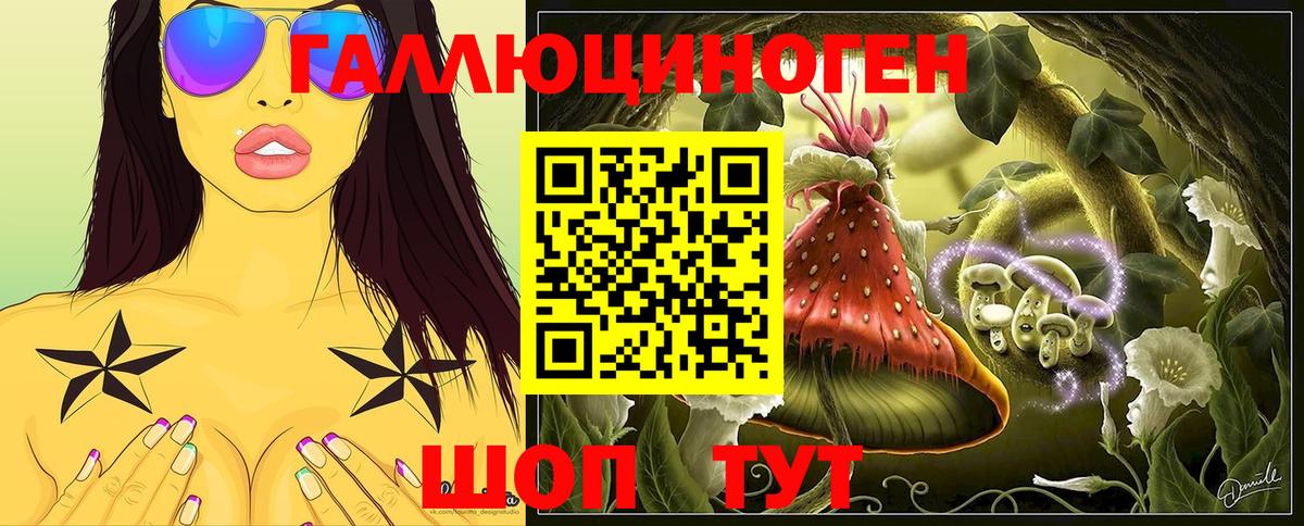 Псилоцибиновые грибы GOLDEN TEACHER  Вход с VPN  Северобайкальск  Псилоцибиновые грибы Magic Shrooms 